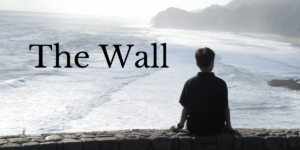 Stay on the wall of faith. Nehemiah did not come down when building the wall.